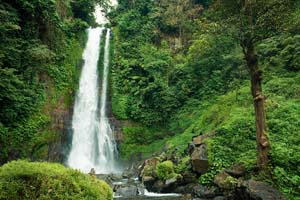 Gitgit waterfall Paket Tour Lovina