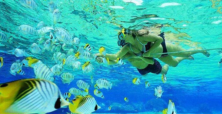 bali snorkling